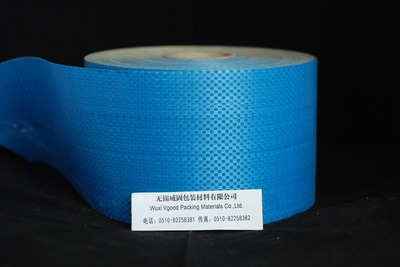 探索無錫編織布 從傳統(tǒng)涂膜編織布到環(huán)保生態(tài)毯的演進